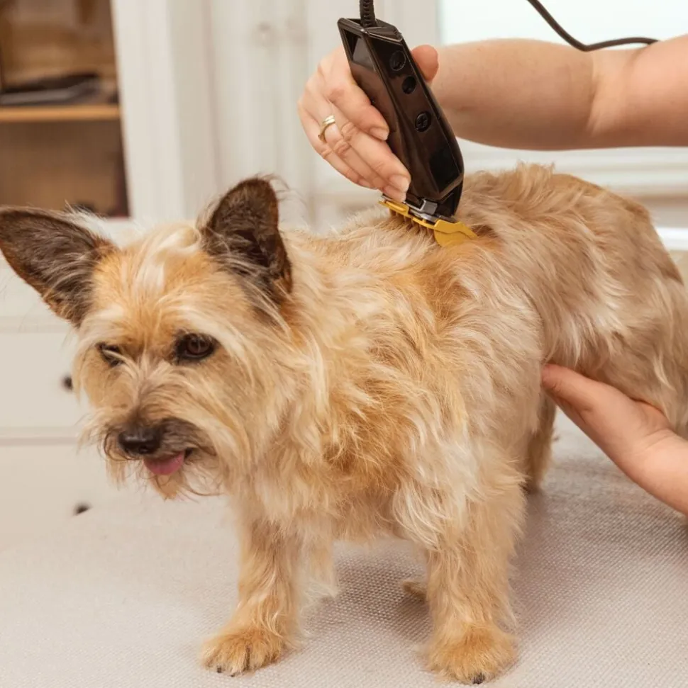 WAHL Hundeklipper Multicut