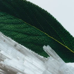 Wood Sage & Sea Salt Cologne Travel Spray