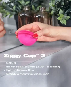 Ziggy Cup 2 Size B